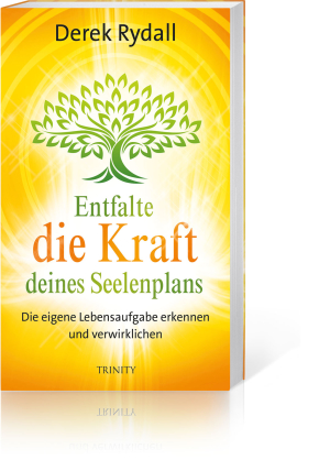 Entfalte die Kraft deines Seelenplans, Produktbild 1