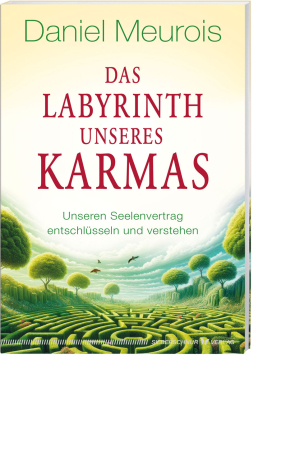 Das Labyrinth unseres Karmas, Produktbild 1