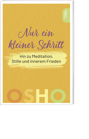 Nur ein kleiner Schritt, Produktbild 1
