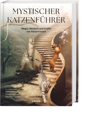 Mystischer Katzenführer, Produktbild 1