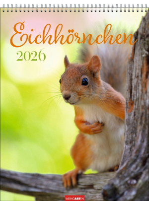 Eichhörnchen 2026, Produktbild 1