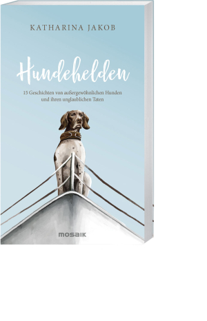 Hundehelden, Produktbild 1