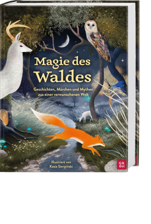 Magie des Waldes, Produktbild 1