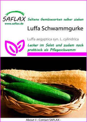 Luffa Schwammgurke, Samen, Produktbild 1