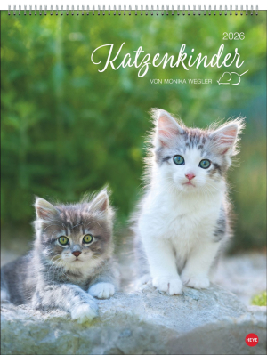 Katzenkalender 2026, Produktbild 1