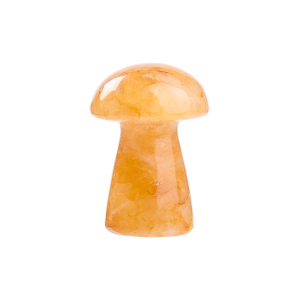 Pilz „Golden Healer“, Produktbild 1