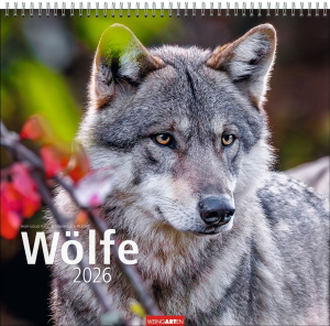 Wölfe 2026, Produktbild 1