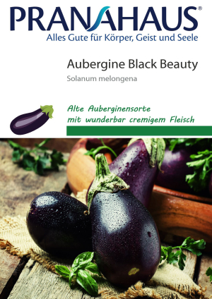 Aubergine „Black Beauty“, Samen, Produktbild 1