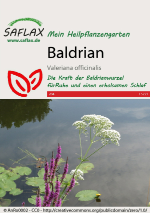 Baldrian, Samen, Produktbild 1