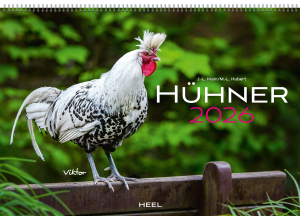 Hühner 2026, Produktbild 1