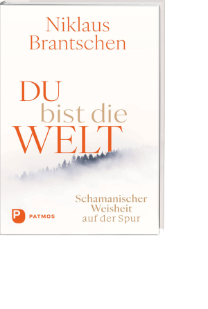 Du bist die Welt, Produktbild 1