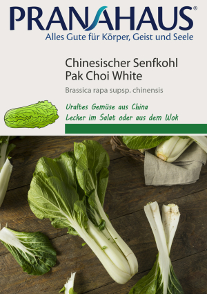 Chinesischer Senfkohl „Pak Choi“, Samen, Produktbild 1