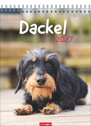 Dackel 2027, Produktbild 1
