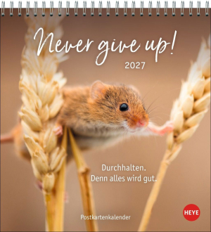 Never give up! 2027, Produktbild 1
