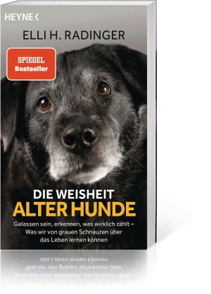 Die Weisheit alter Hunde, Produktbild 1