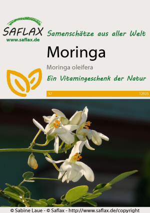 Moringa, Samen, Produktbild 1