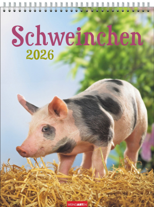Schweinchen 2026, Produktbild 1