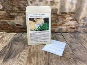 Saatbänder Katzenminze, Samen, Produktbild 1
