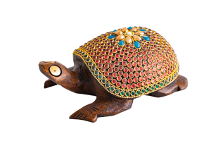 Zauberschildkröte, groß, Produktbild 1