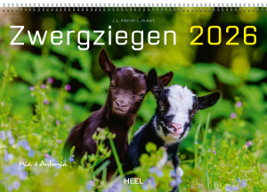 Zwergziegen 2026, Produktbild 1