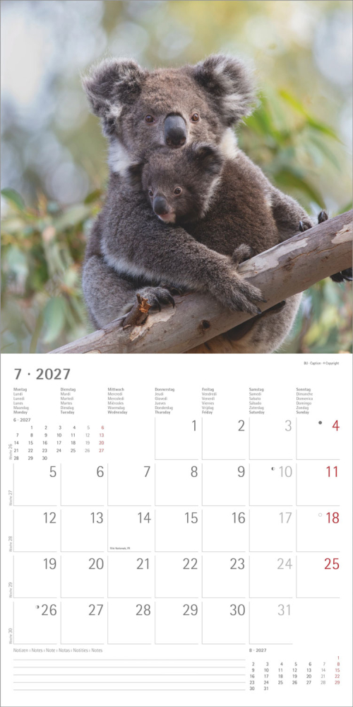 Tierbabys – Baby Animals 2027, Produktbild 2