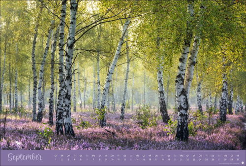 Zauberwälder 2026, Produktbild 2
