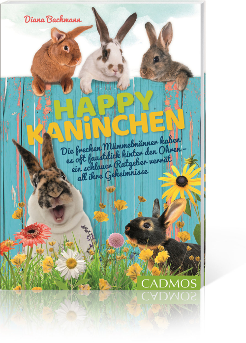 Happy Kaninchen, Produktbild 1