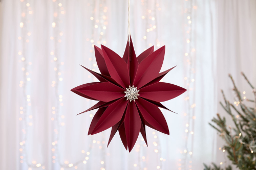 Weihnachtsstern, rot, Produktbild 3