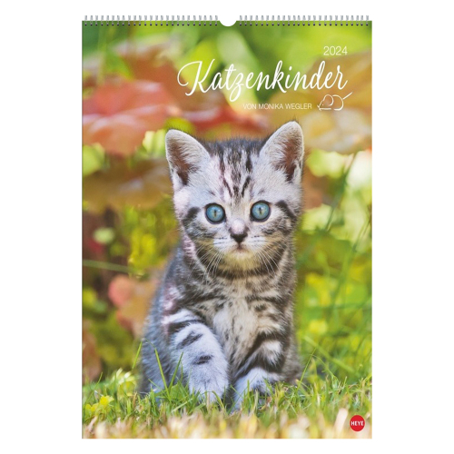 Katzenkinder 2024, Produktbild 1