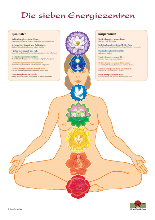 Die sieben Energiezentren Poster, Produktbild 1