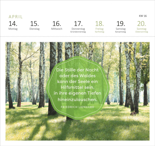 Wald &amp; Wunderbar 2025 Postkartenkalender, Produktbild 2