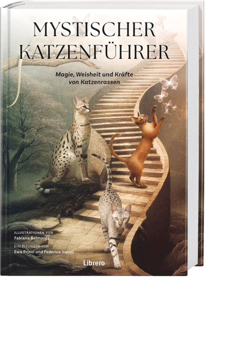 Mystischer Katzenführer, Produktbild 1