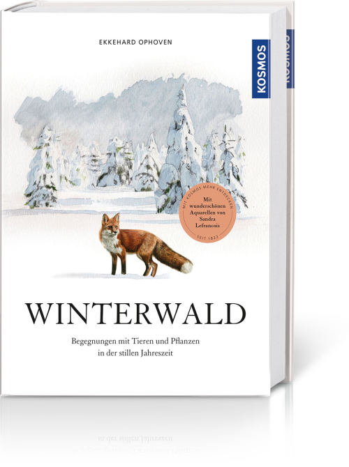 Winterwald*, Produktbild 1