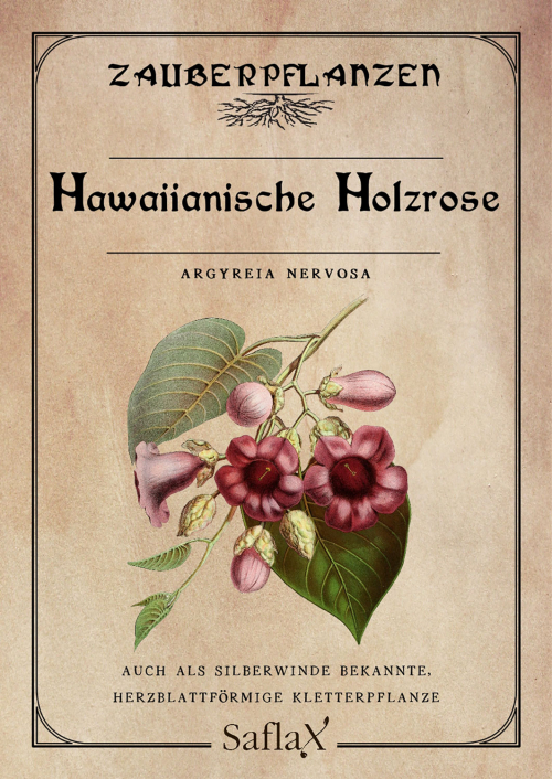 Zauberpflanzen „Hawaiianische Holzrose“, Samen, Produktbild 1