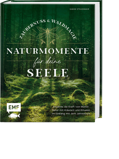 Zaubernuss und Waldmagie – Naturmomente für deine Seele, Produktbild 1