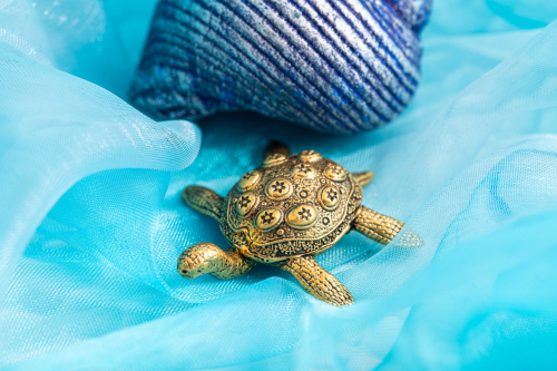 Schildkröte, Produktbild 2