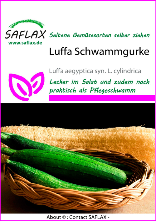 Luffa Schwammgurke, Samen, Produktbild 1