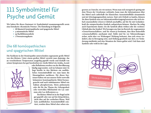 Homöopathische Symbolapotheke: Psyche und Gemüt, Produktbild 3
