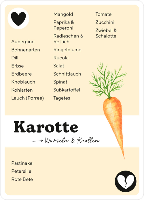 Lauch liebt Karotte, Produktbild 3