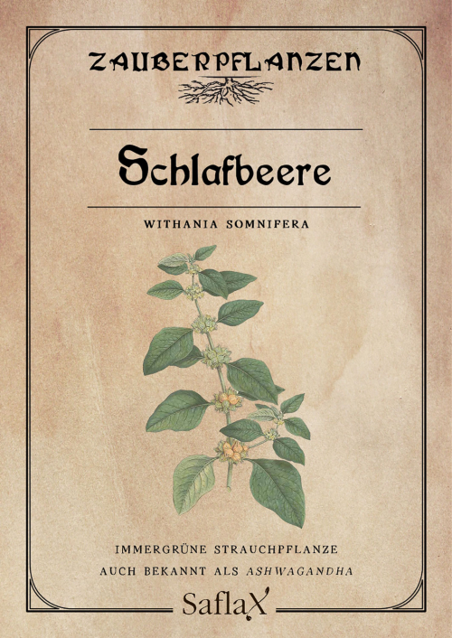 Zauberpflanzen „Schlafbeere“, Samen, Produktbild 1