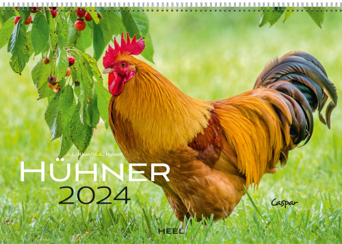 Hühner 2024, Produktbild 1