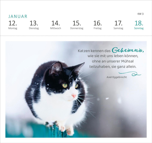 Katzenweisheiten 2026, Produktbild 2