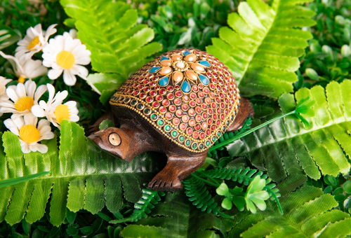 Zauberschildkröte, klein, Produktbild 2