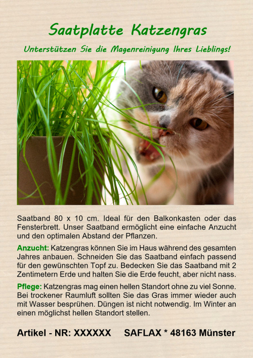 Saatbänder Katzengras, Samen, Produktbild 2