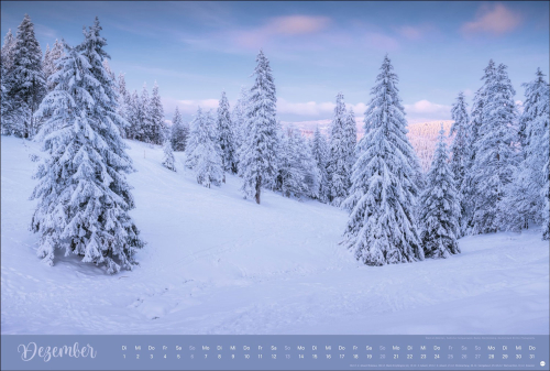 Zauberwälder 2026, Produktbild 3