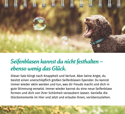 Der Lebensfreude Tischkalender 2026, Produktbild 3