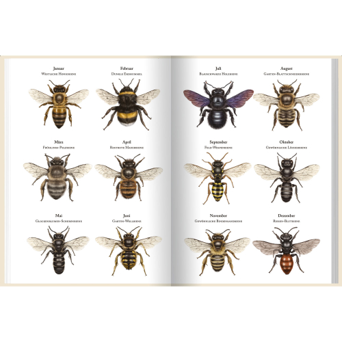 Bienenkalender 2023, Produktbild 4