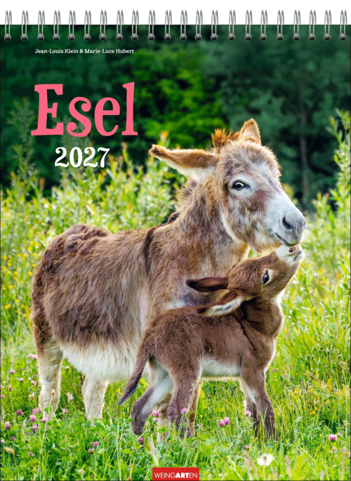 Esel 2027, Produktbild 1
