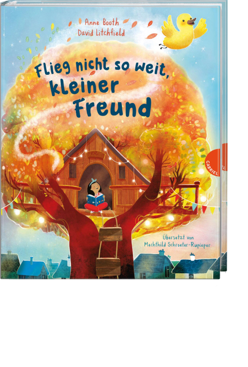 Flieg nicht so weit, kleiner Freund, Produktbild 1