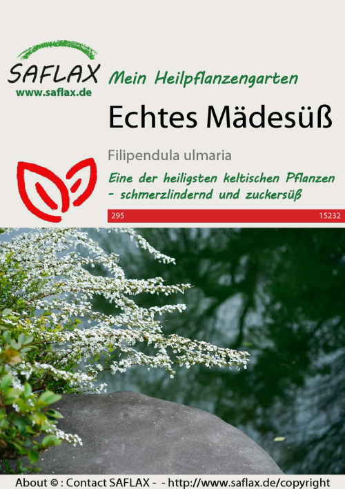 Echtes Mädesüß, Samen, Produktbild 1